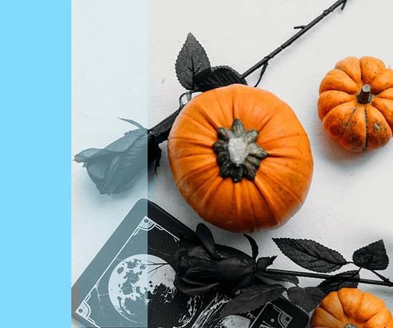 Pumpkin and Papaya Peel